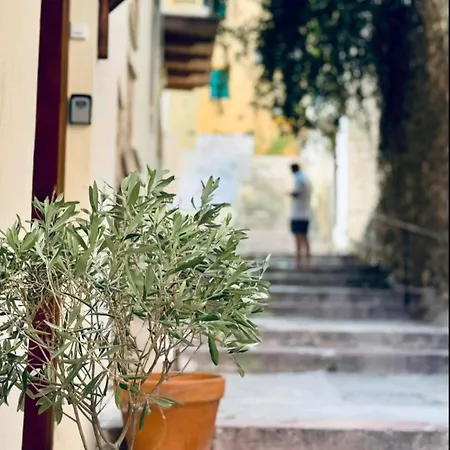 Maison Konstantinos Appartamento *